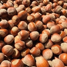 Hazelnuts