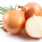 Onion