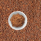 Brown mustard seed