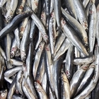 Anchovies