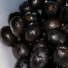 Black olives