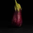 Eggplant