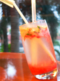 Berry Mojito