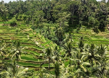 Wisata kuliner di Bali