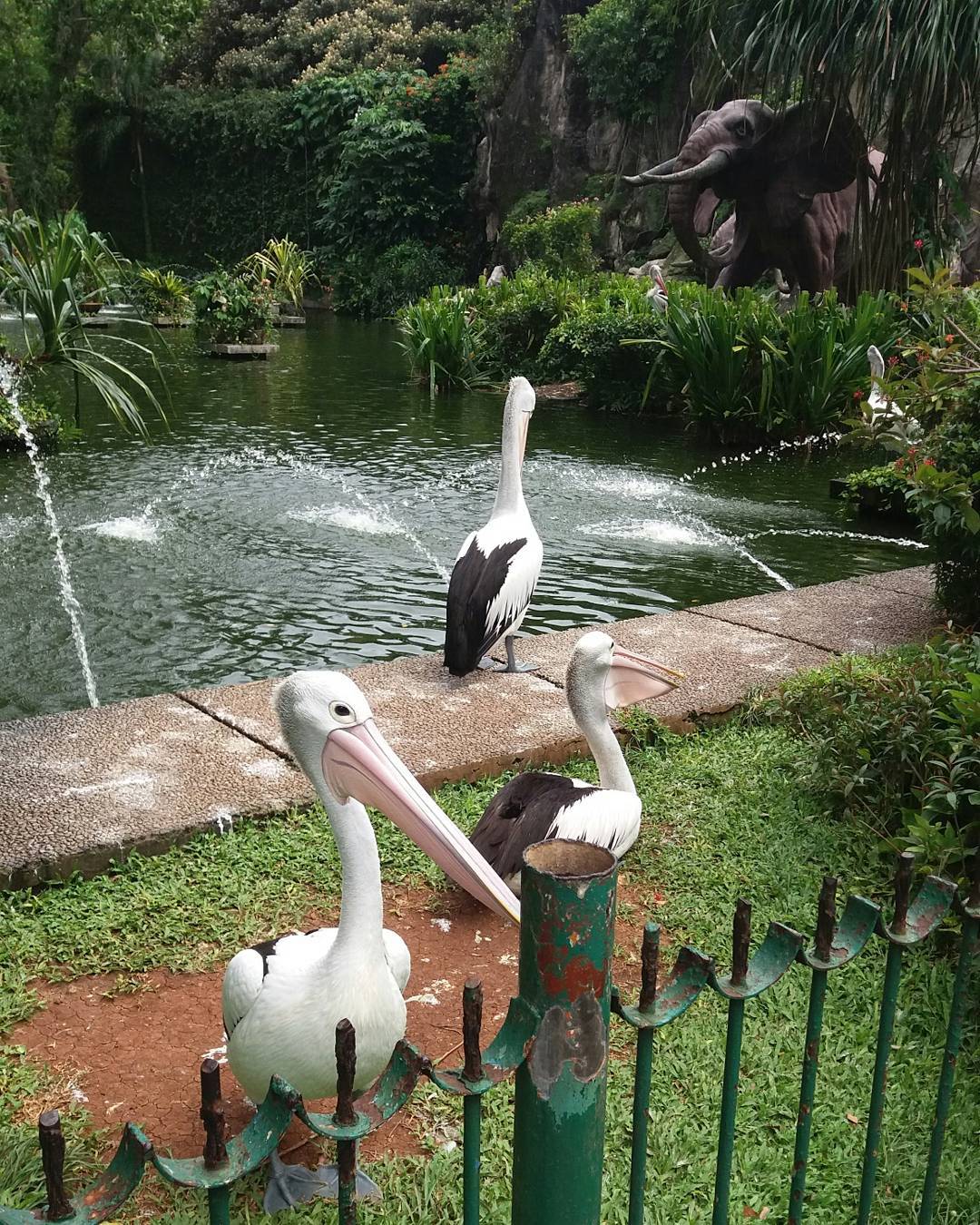 Taman Margasatwa Ragunan